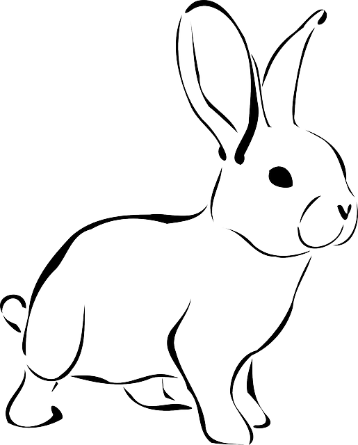 rabbit-161467_640